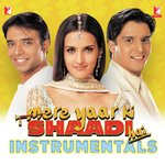 Mere Yaar Ki Shaadi Hai: Instrumentals - Jaydeep Swadia Song Download